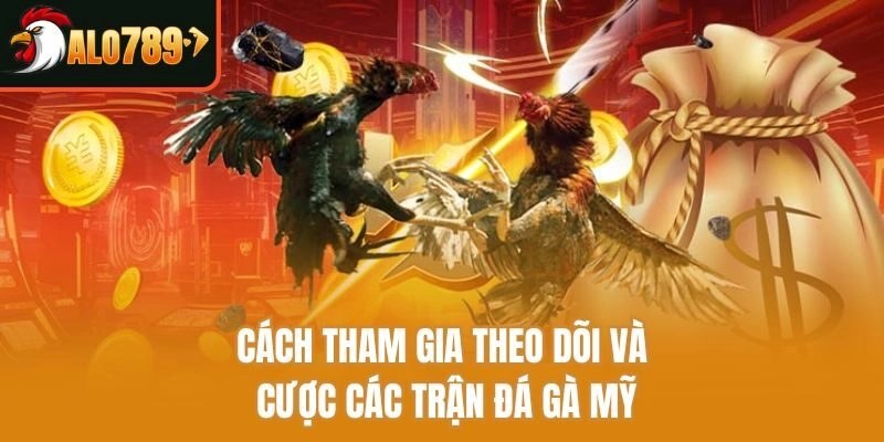Cách tham gia theo dõi và cược các trận đá gà mỹ