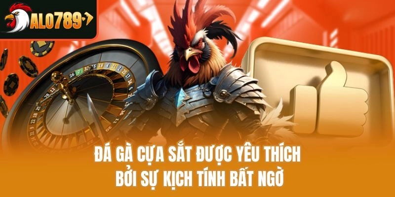 Đá gà cựa sắt được yêu thích bởi sự kịch tính bất ngờ