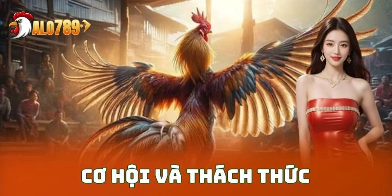 Cơ hội và thách thức